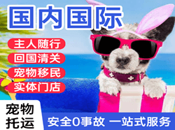 南宁吴圩航空快运国际宠物托运 【国